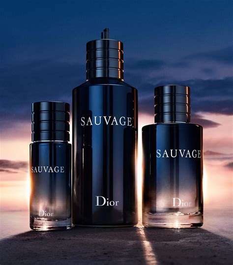 dior 200ml parfum|Dior perfume price list.